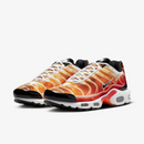 Air max tn 1 “Light photography”