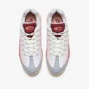 Air max 95 “Anatomy of air”