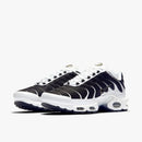 Air max tn 1 “killer whale”
