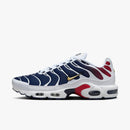 Air max tn 1 “PSG”