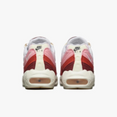 Air max 95 “Anatomy of air”