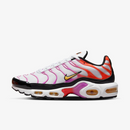 Air max tn 1 “picant gradient”