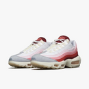 Air max 95 “Anatomy of air”