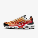 Air max tn 1 “Light photography”