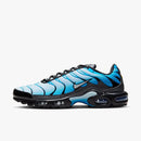 Air max tn 1 “Gradient”