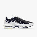Air max tn 1 “killer whale”