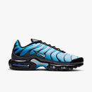 Air max tn 1 “Gradient”
