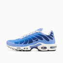 Air max tn 1 “Royal Pulse”